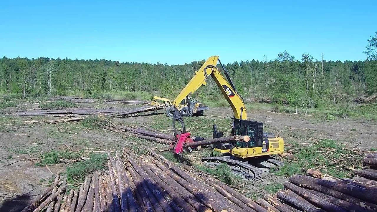 Logging in South Georgia