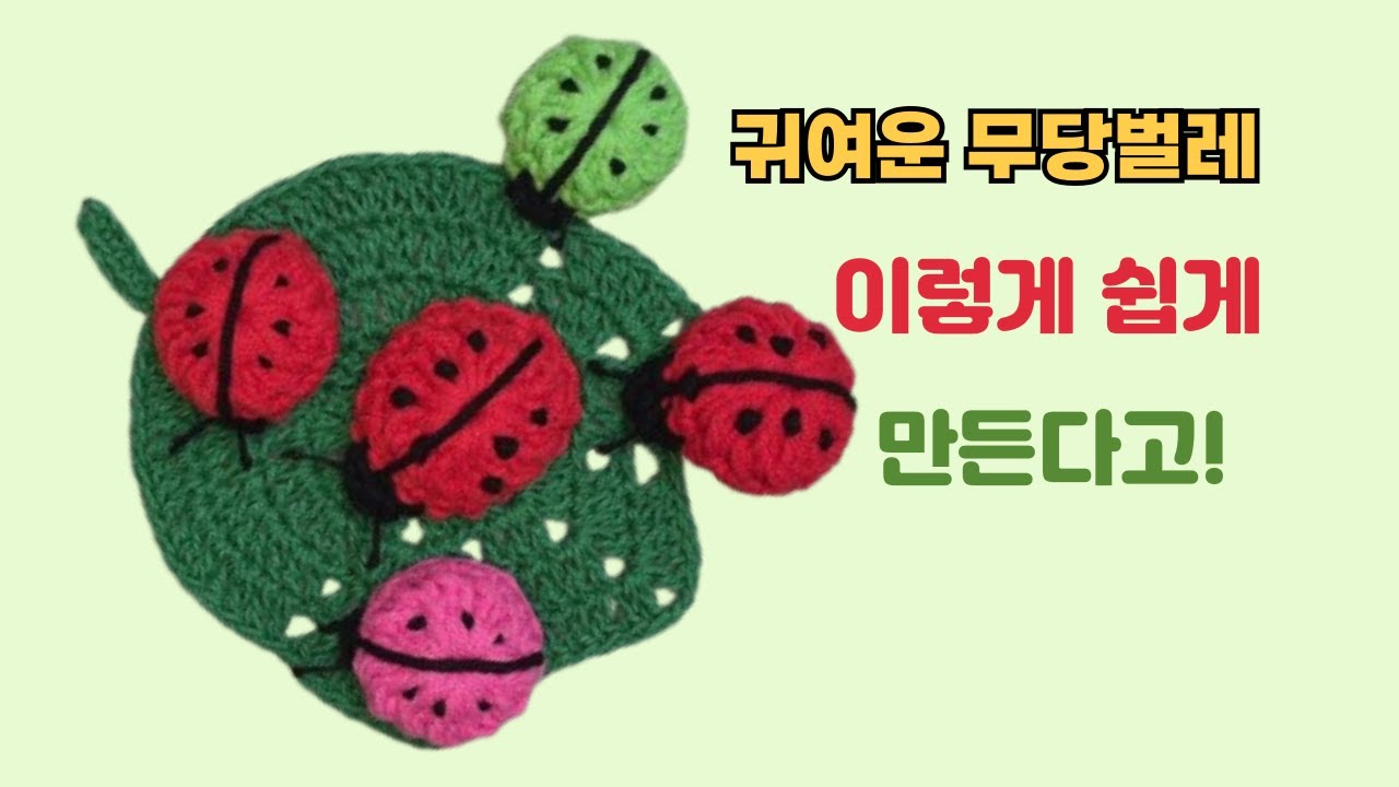 귀여운 무당 벌레 /a cute ladybug