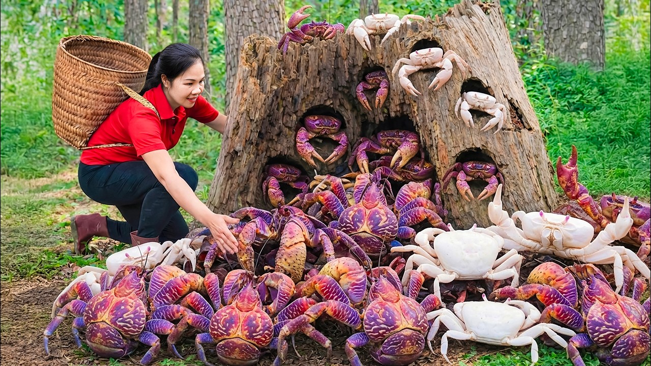 Harvest 1000+ Giant Forest Crab & Go to Market Sell | 180 Days From Egg to Survivor | Free Bushcraft