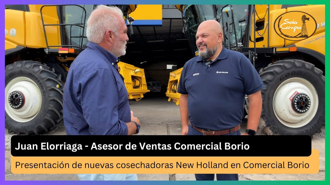 Juan Elorriaga - Asesor de Ventas Comercial Borio
