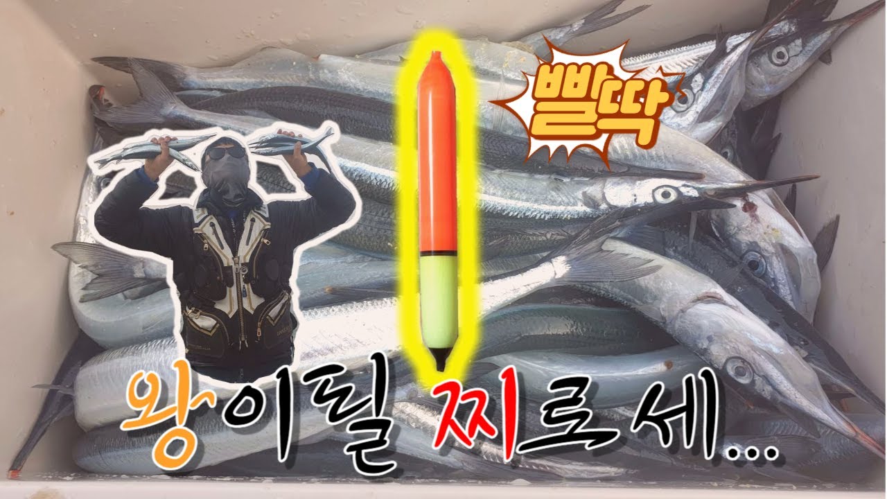 빨딱찌로 학꽁치 잡는 채비법을 소개합니다^^!!