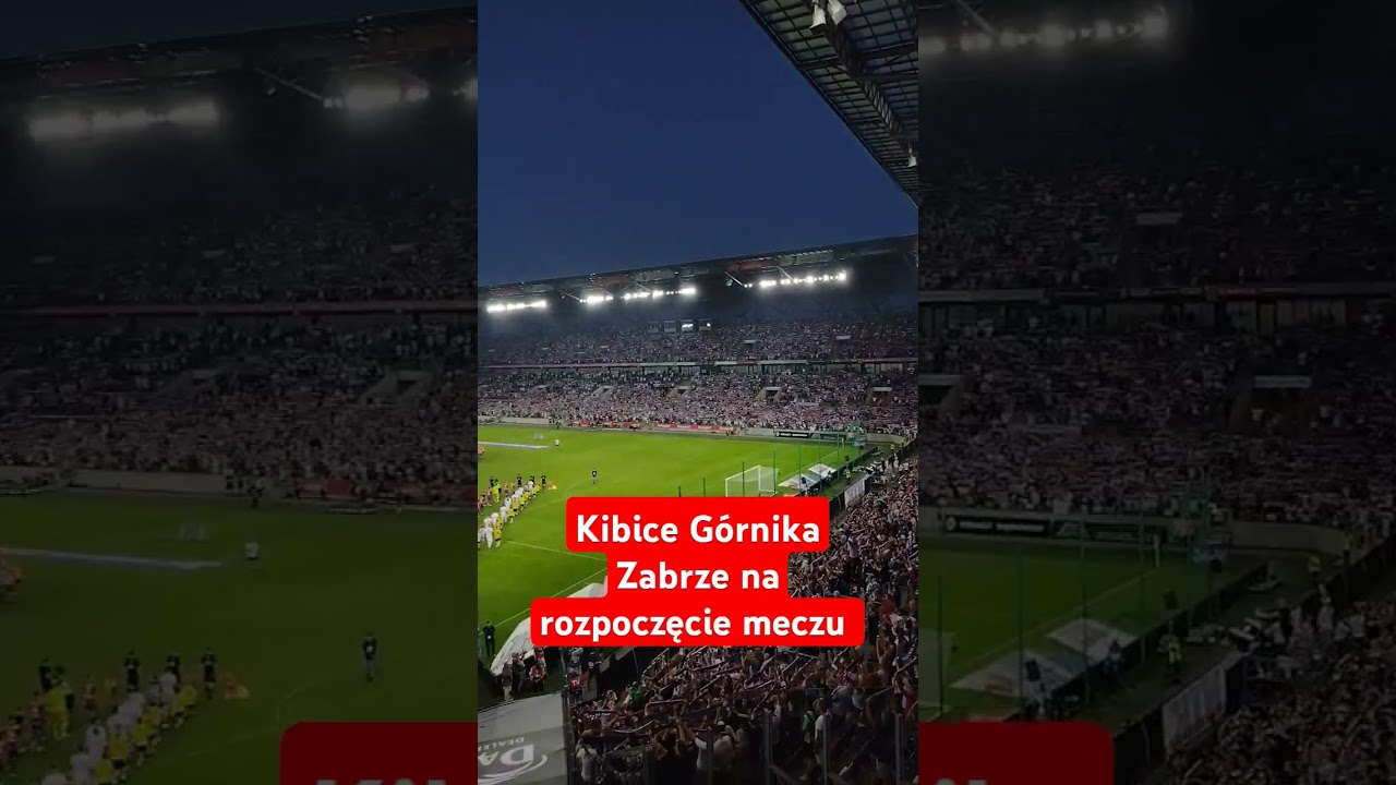 Kibice G&oacute;rnika Zabrze #torcida #g&oacute;rnikzabrze #sport #kibice #doping #Ultras #ekstraklasa #shorts #dc