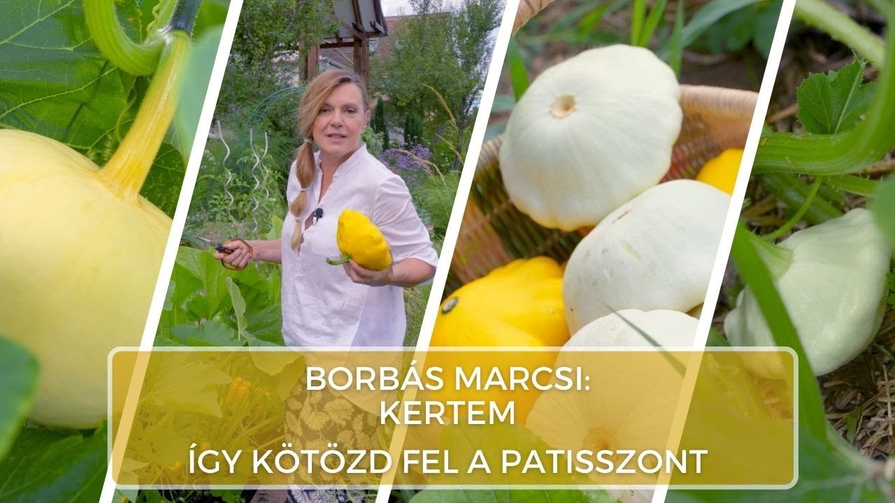 Így kötözd fel a patisszont - Borbás Marcsi: Kertem