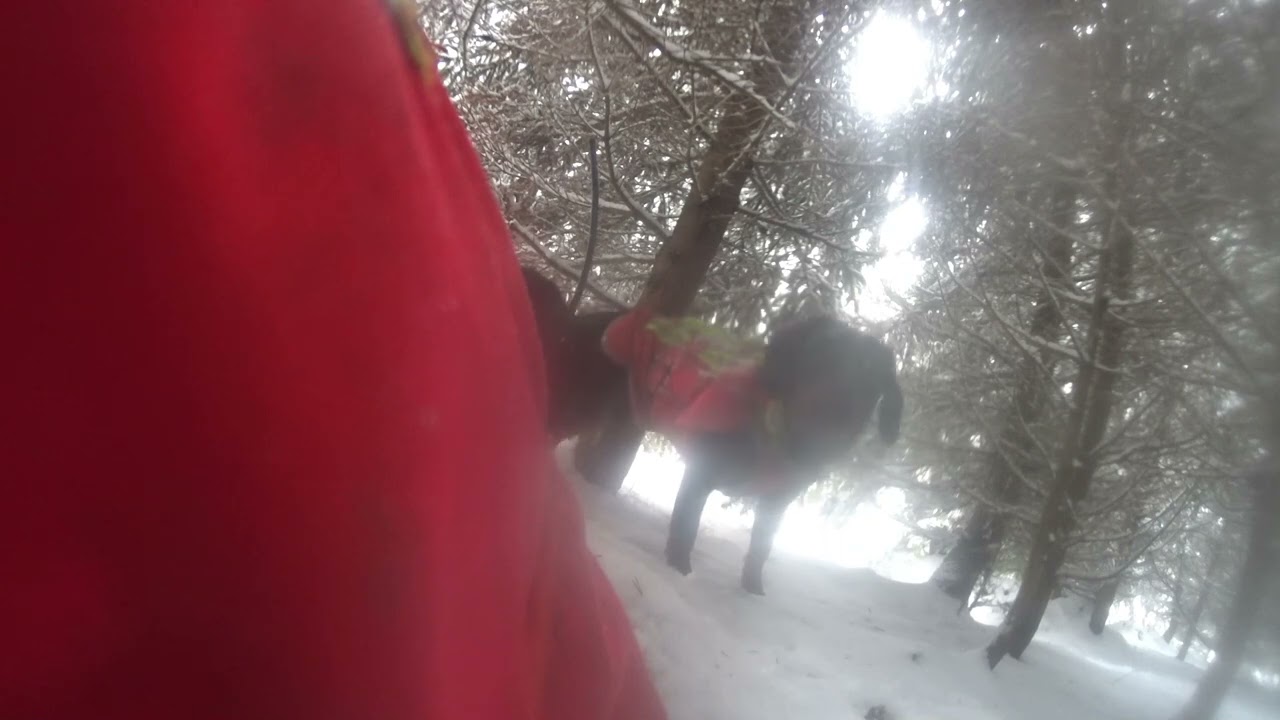 Megan Rúbaný Vrch - Poslední naháňka @ucenjan