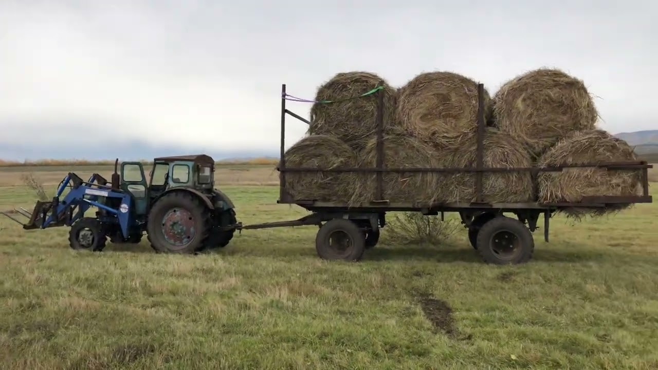 Кун на Т-40 , возим сено .