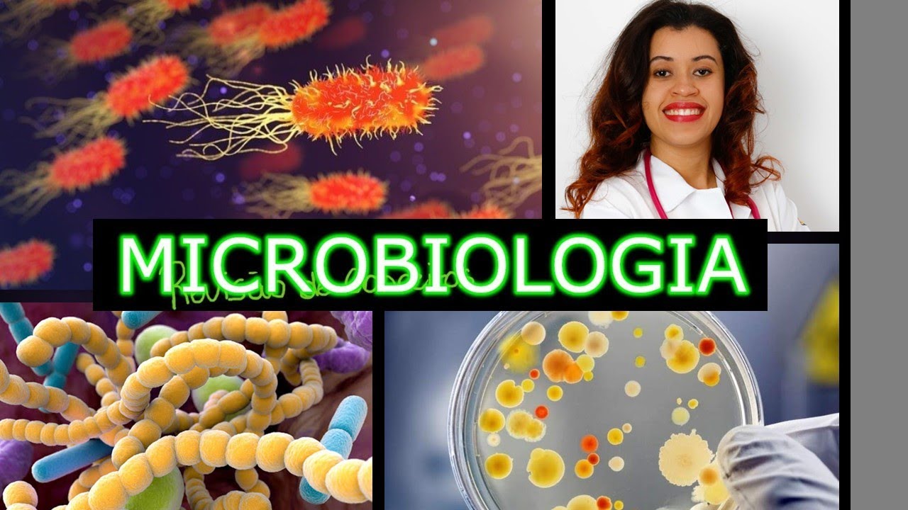 PARASITOLOGIA- Protozo&aacute;rios