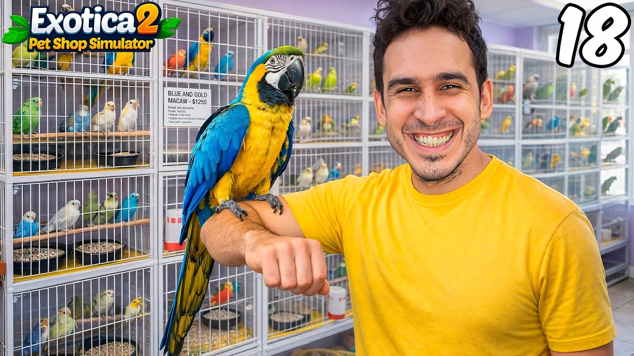 Hacemos una Pajarera en la Tienda de Mascotas 🐦🏠 Exotica 2
