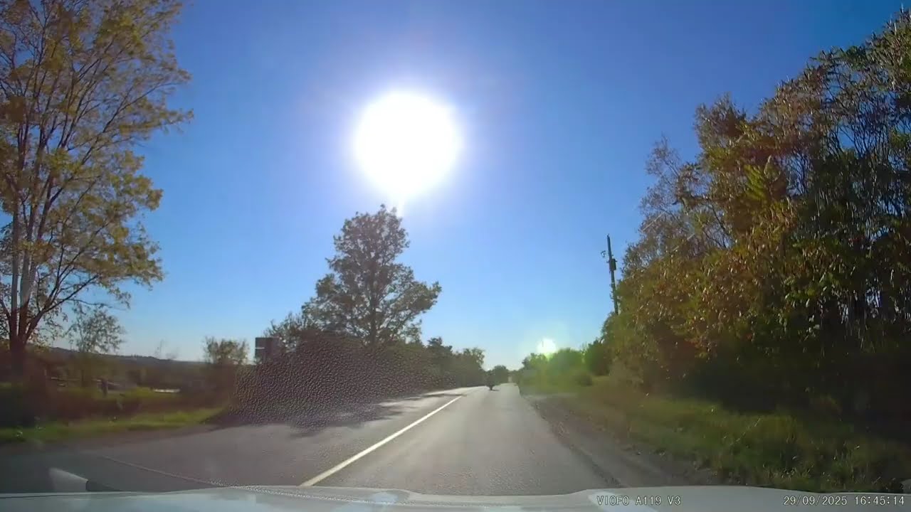 [4K] Minden Hills, Ontario! #8 ''Fall'' Driving to West Carnarvon, ON. CA.