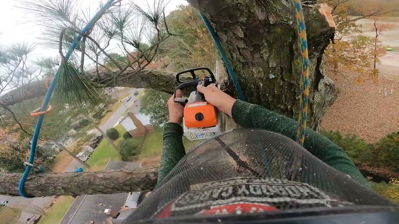 How much bigger would you have made the top?