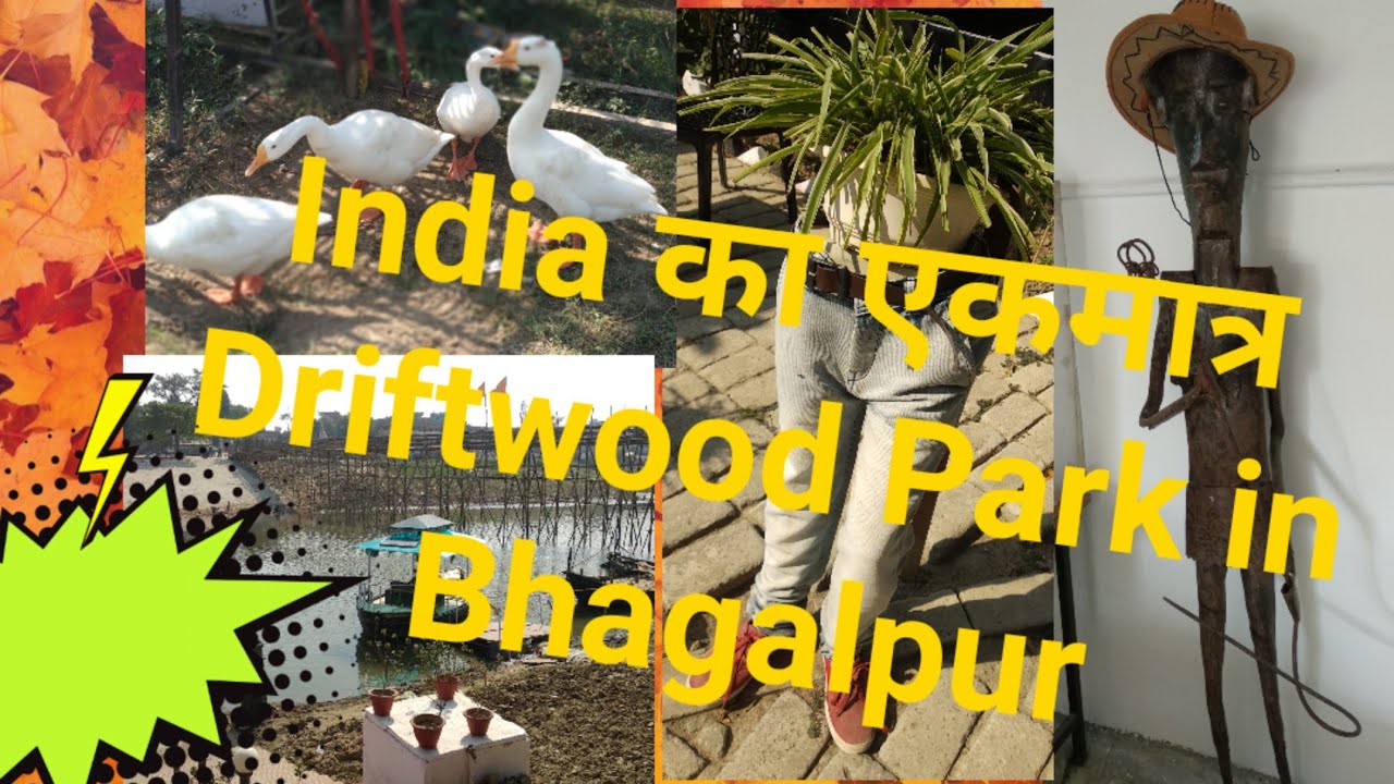 Driftwood park Bhagalpur!!🧚🧚 park in Bhagalpur