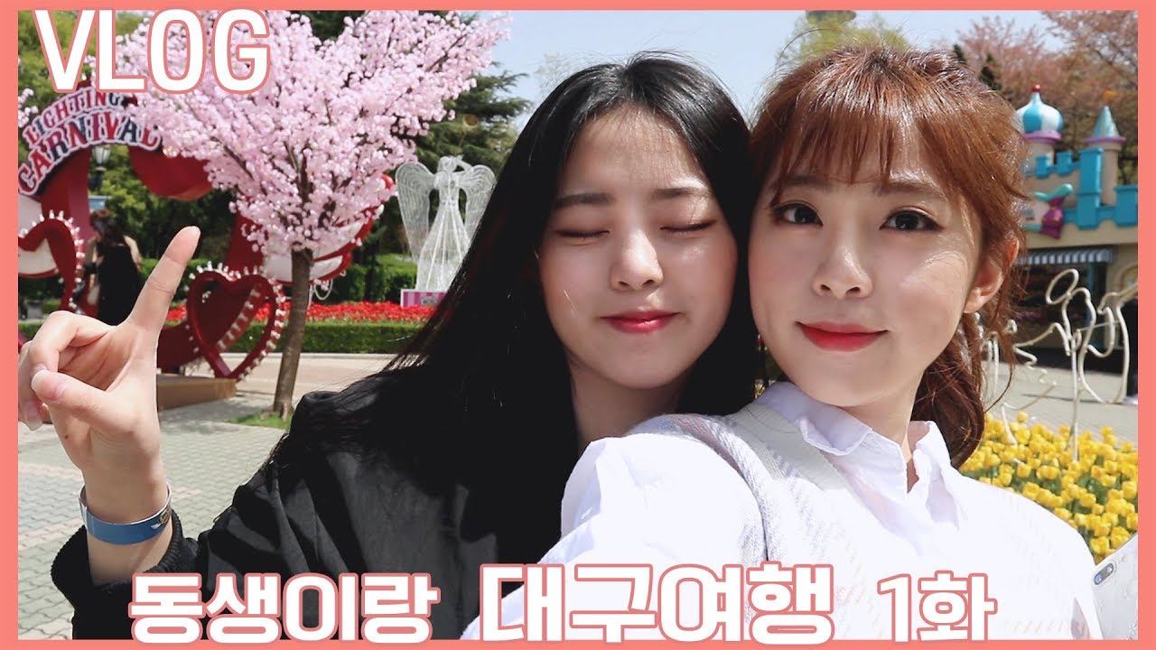 [도영이] 동생이랑 대구여행 VLOG #이월드 #벚꽃축제