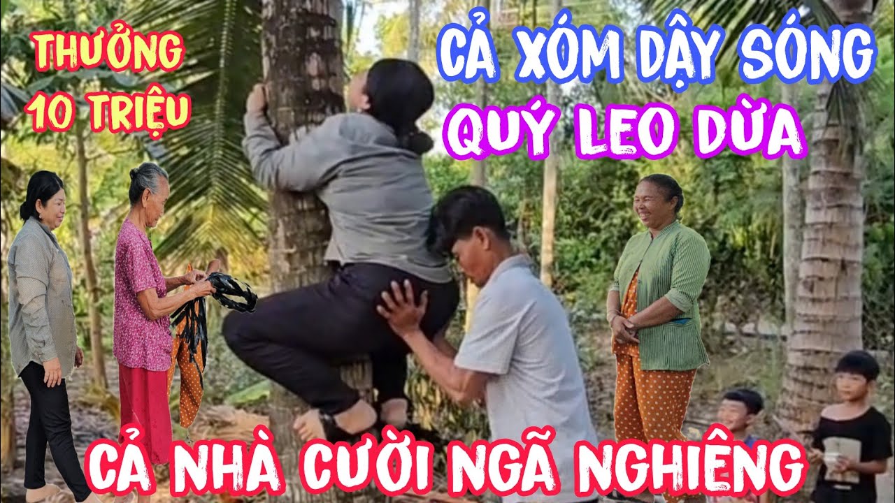 Cả xóm chạy ra cười khi thử thách tài năng leo dừa của Chị Quý #gocnhosoctrang24h #anhtrungchuongvit