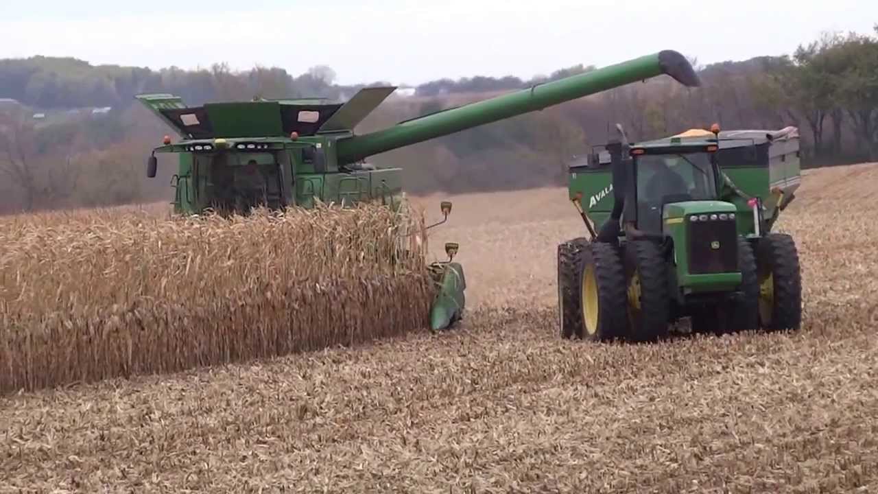 Grain Cart - corn on the move from combine to unloading in the semi!