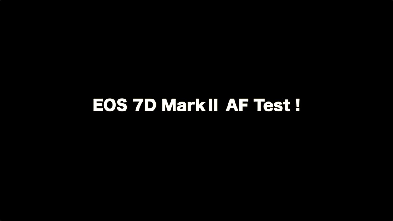 EOS 7D MarkⅡ AF Test