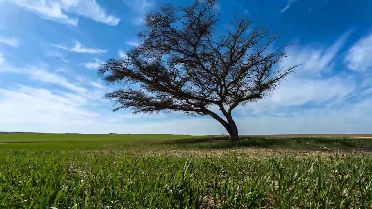 Israeli Landscapes time-lapse teaser