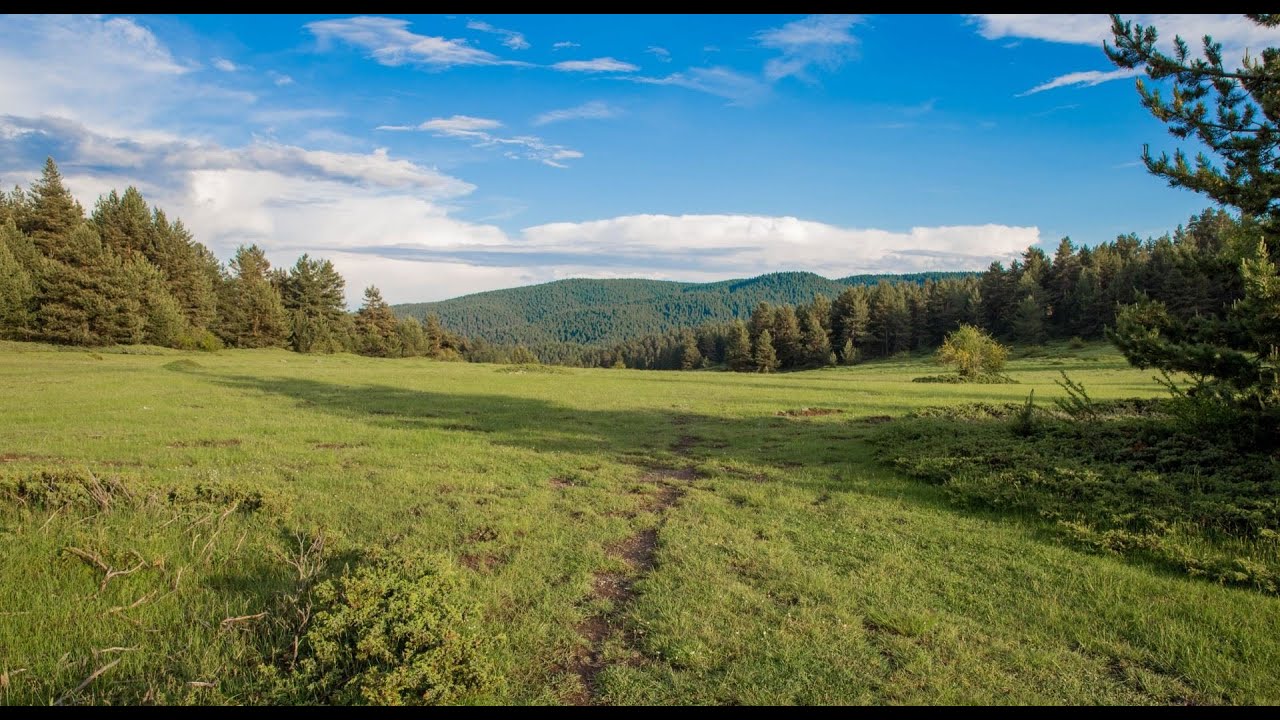 Yapraklı - Büyük Yayla