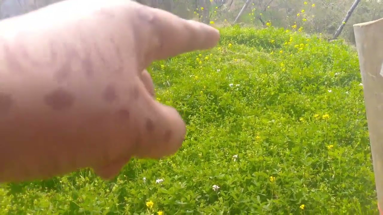 New vlogger 