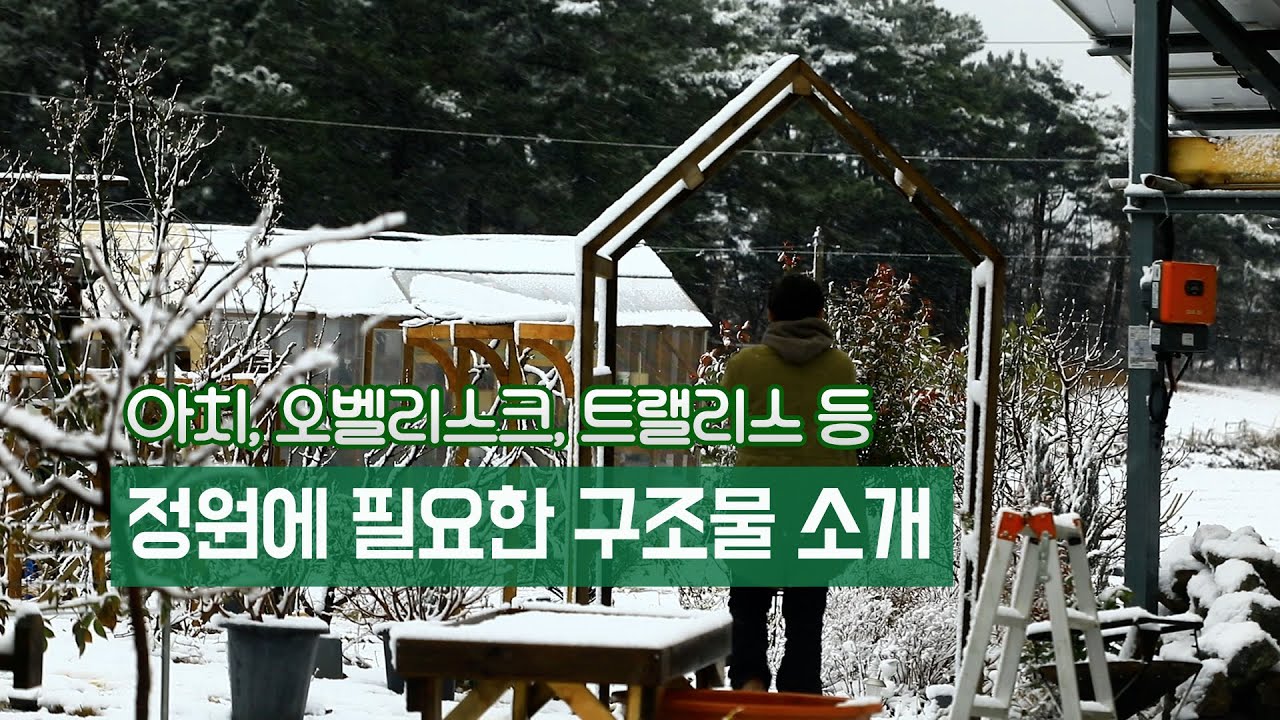 다양한 장미 구조물 소개 - 상상력을 발휘해보세요!