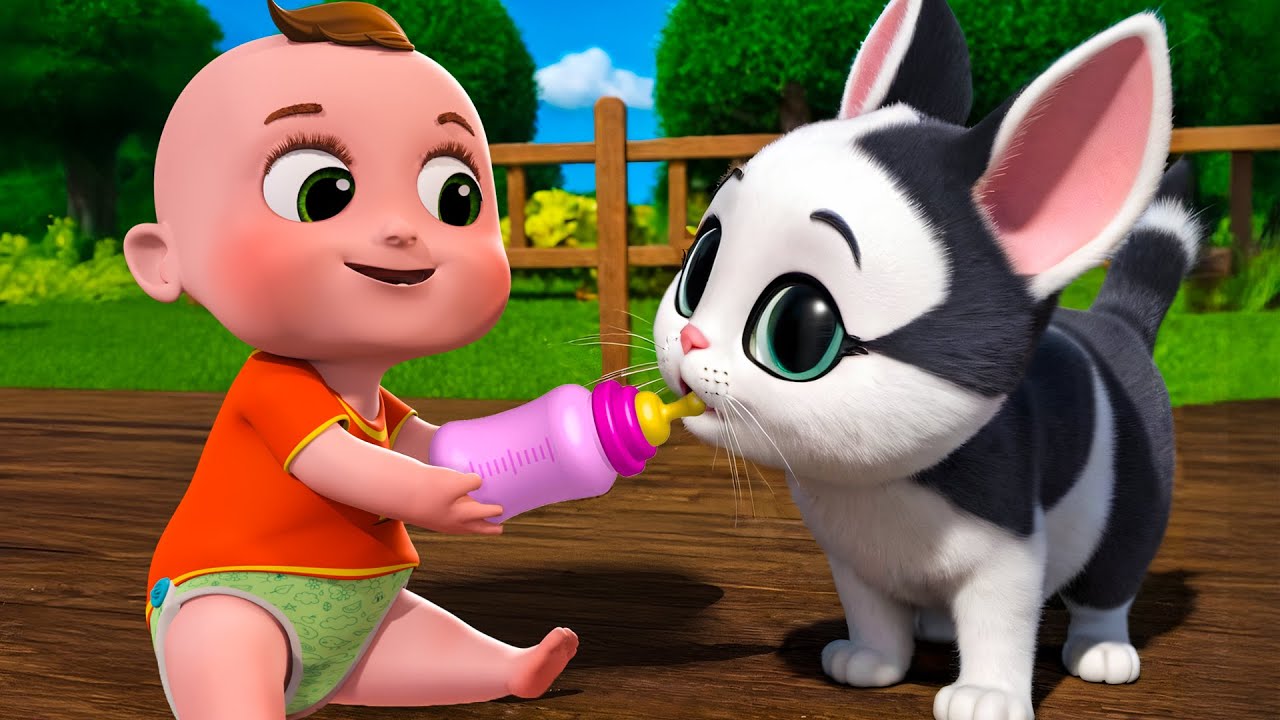 Baby Kitten Song New Compilation | Animals Farm, Old MacDonald Nursery Rhymes & Kids Songs Baby John