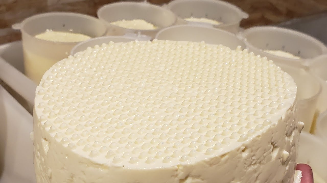 FAZENDO QUEIJO FRESCAL CASEIRO com leite de saquinho de mercado ou padaria.