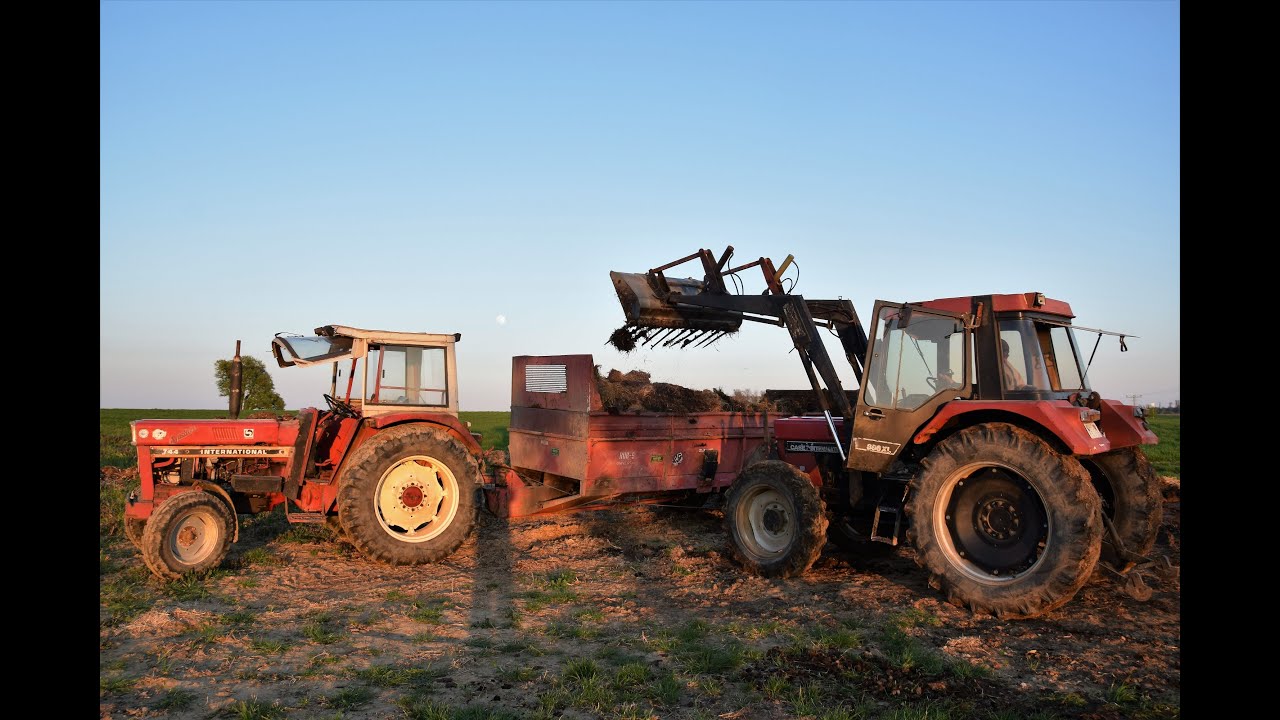 IHC 744 & Case 856 xl am Kuhmist Laden & Abladen Miststreuer