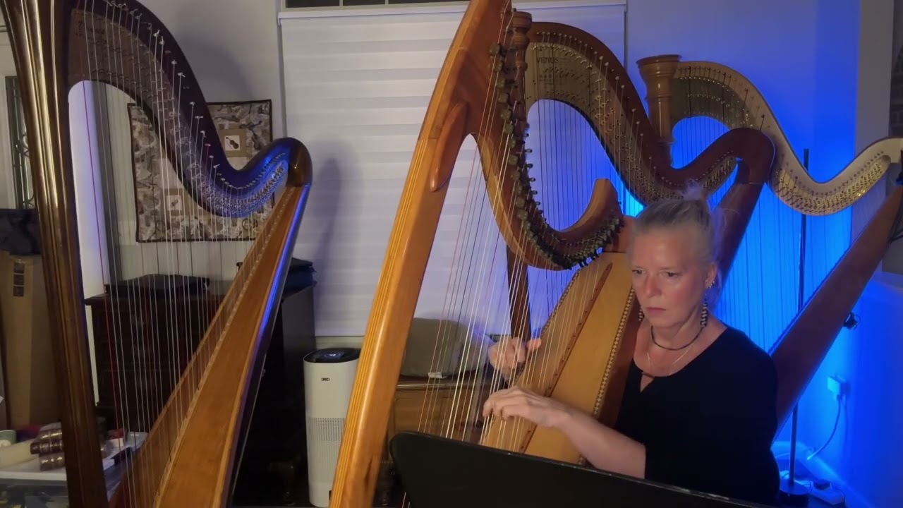 The Foggy Dew Traditional Irish Melody on Celtic Harp