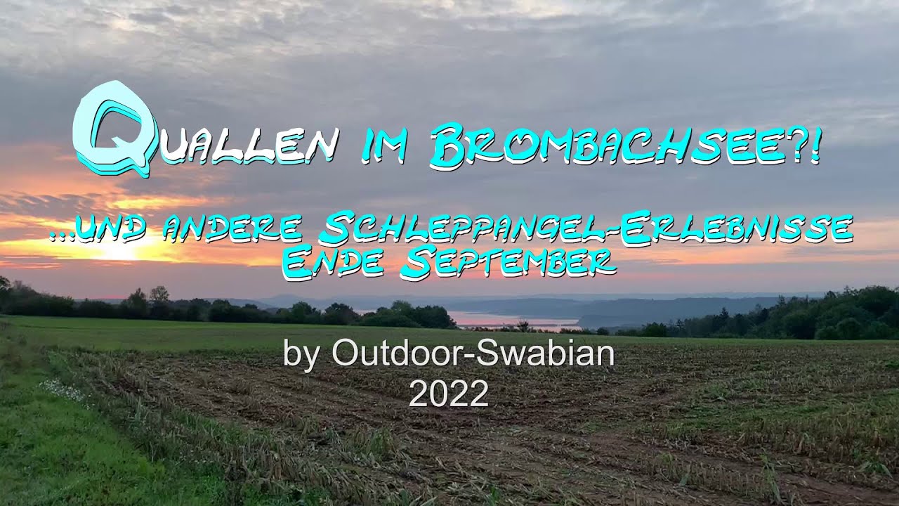 Quallen im Brombachsee?! ...Und andere Schleppangel-Erlebnisse am Ende eines tollen Sommers.