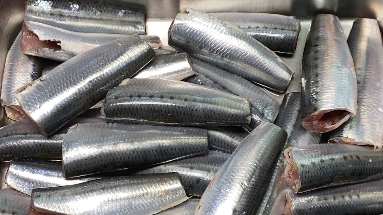 PERFECT WAY to clean SARDINES