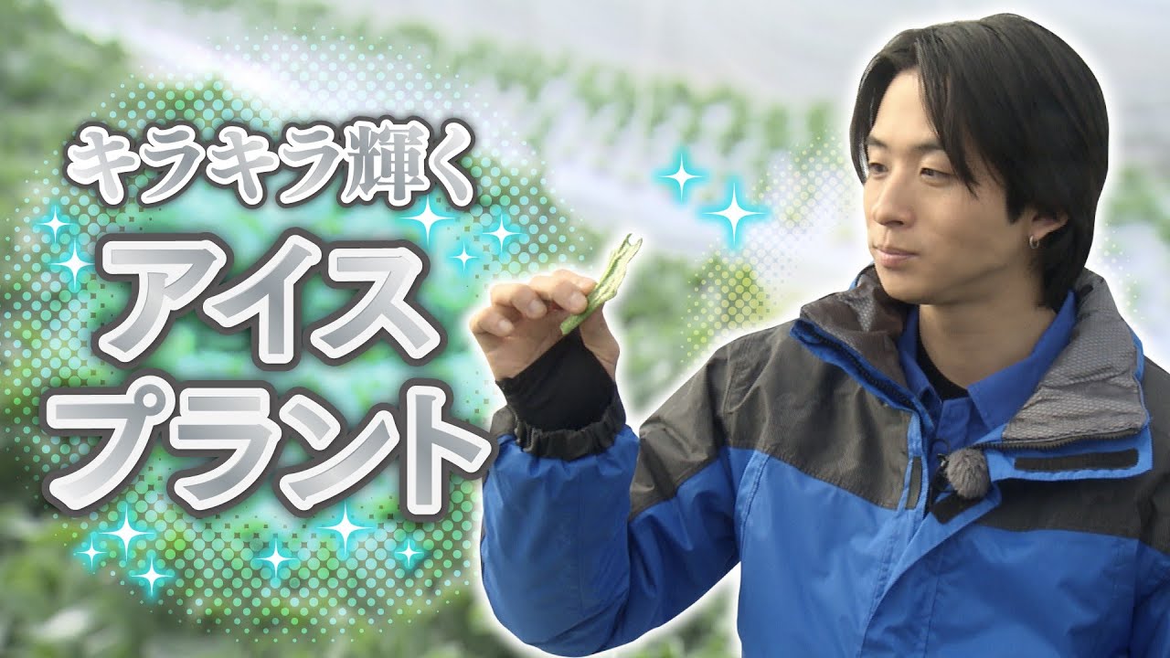 【澤夏の料理シーン満載！】キラキラ輝くこの野菜は…！？