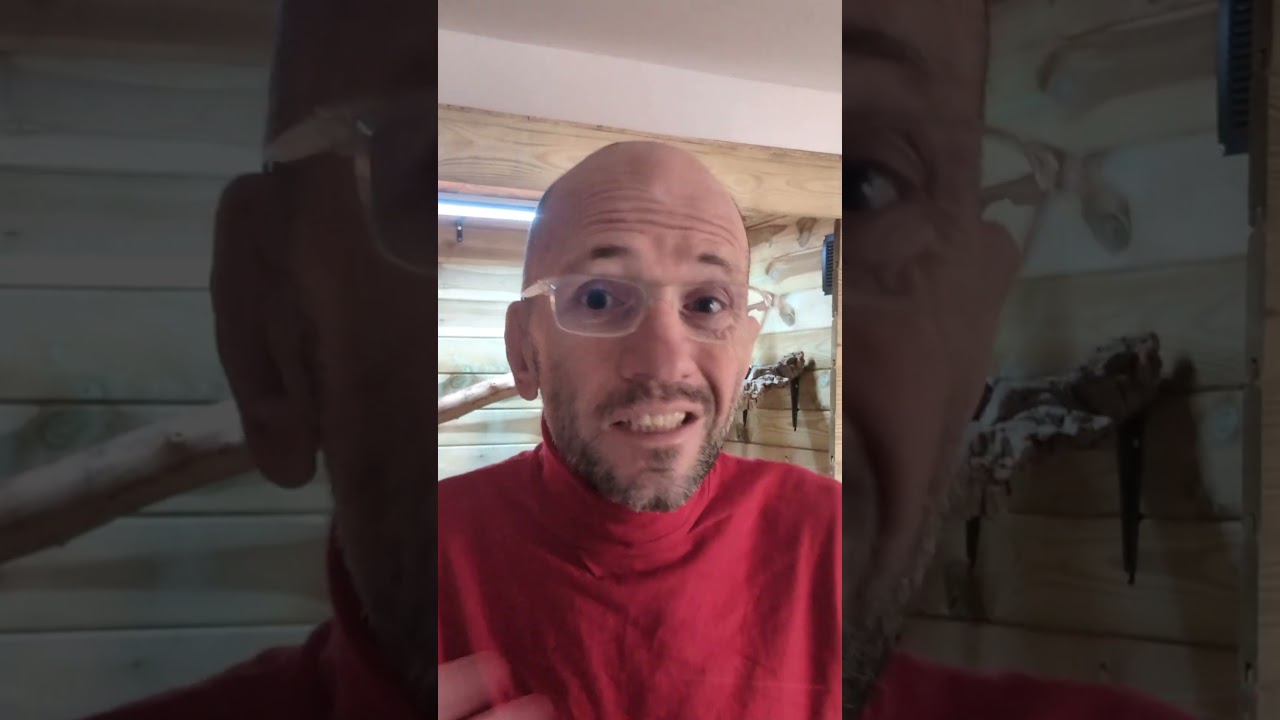Je r&eacute;ponds &agrave; vos commentaires sur ma derni&egrave;re vid&eacute;o 