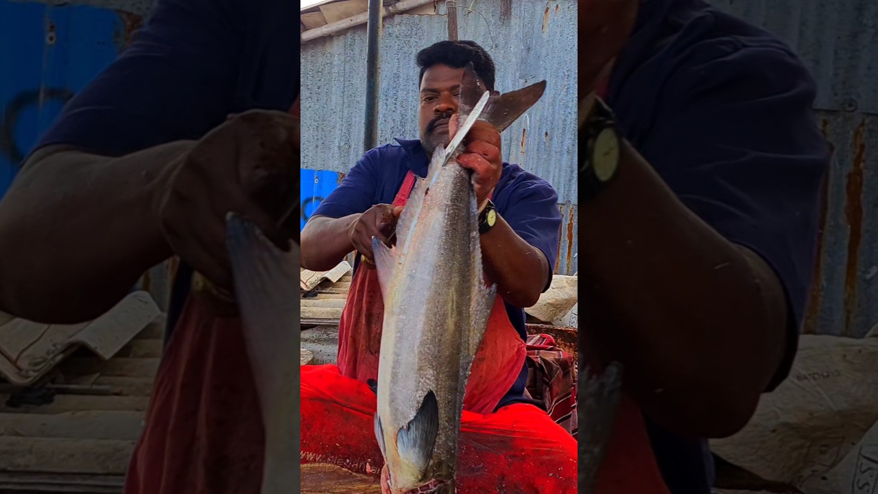 KASIMEDU 🔥SEA VIRAAL FISH CUTTING #kasimedufishmarketlatest #kasimeduspeedselvam #shorts