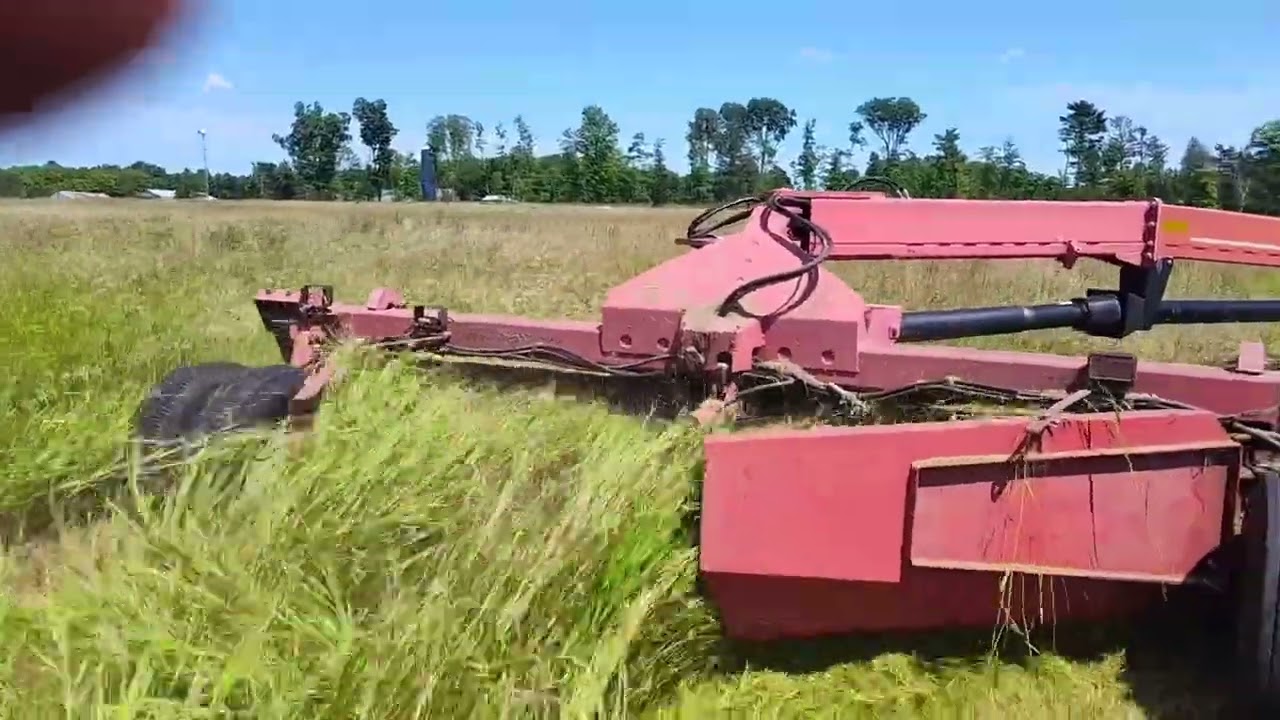 Last cut
