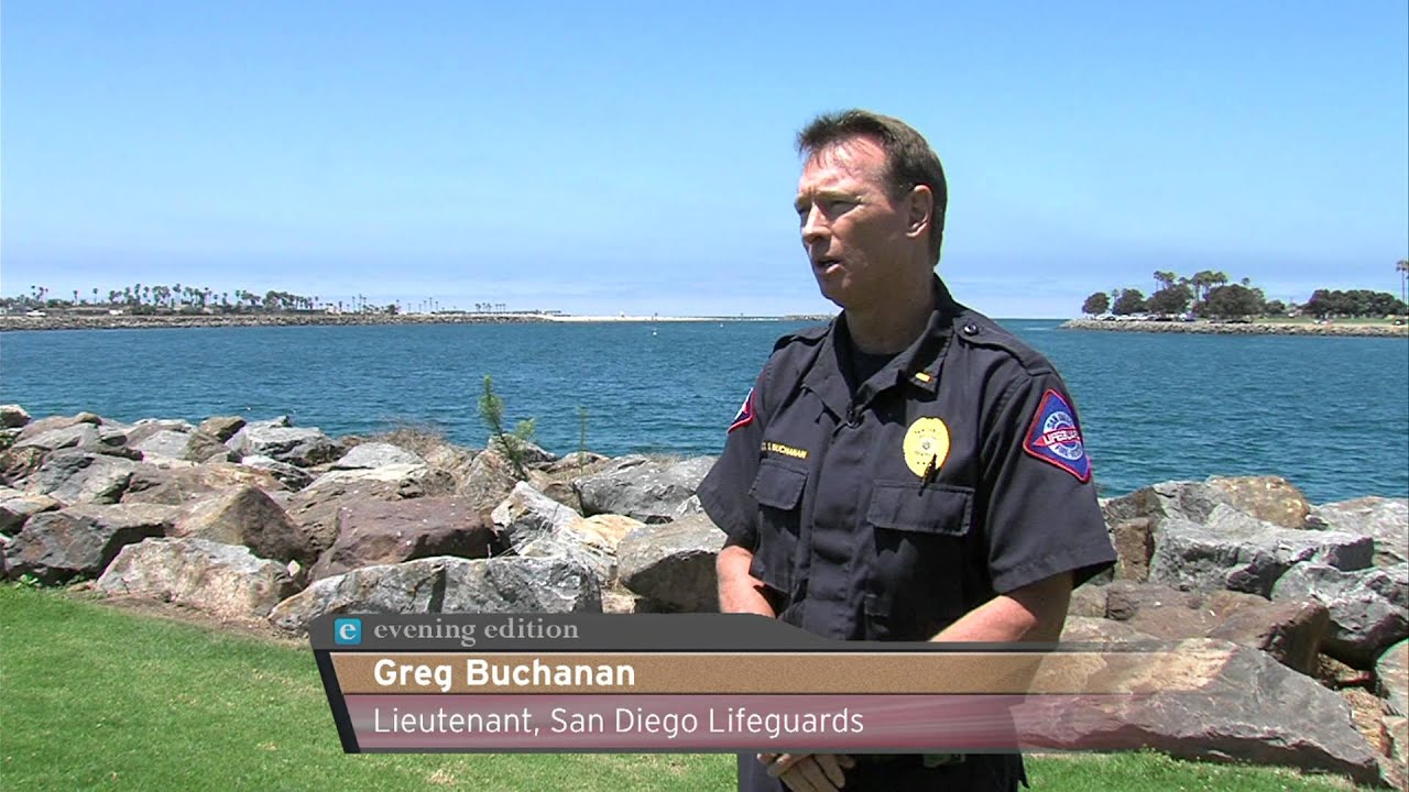 Shark Expert Reveals What's Lurking Off San Diego's Shores