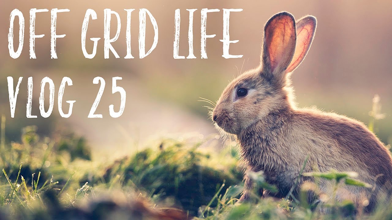 Off Grid Life | Hopes and Dreams
