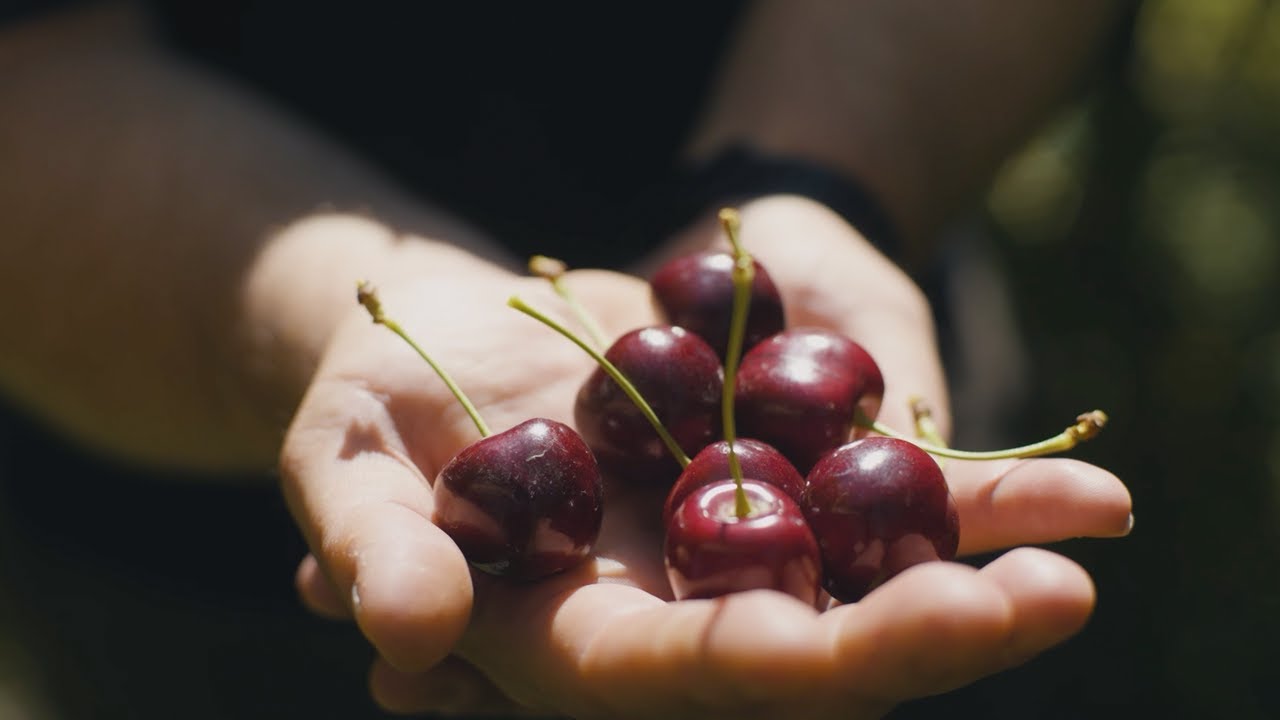 Nokia and Chorus: the role of next-generation PON in industry 4.0 with Cherry Corp