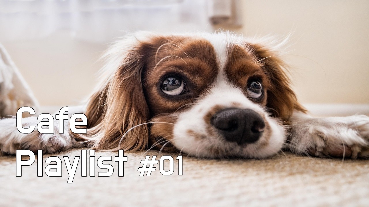 Playlist｜커피 한 잔에 어울리는 카페플리 ☕ 기분 좋은 팝 모음｜카페음악·매장음악