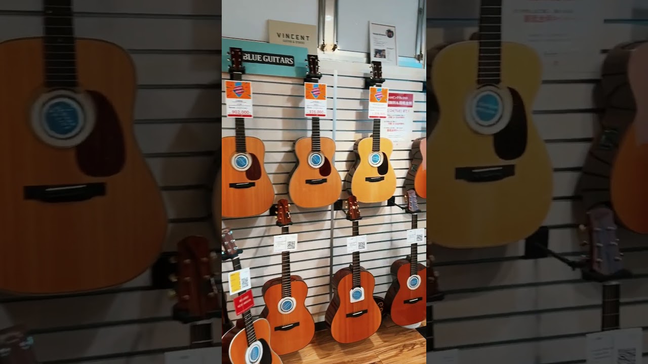 Blue Guitars 2024 #blueguitars