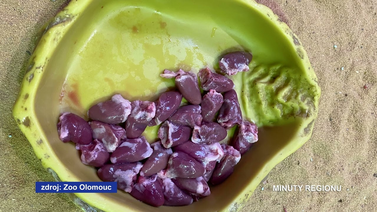 Minuty Regionu 19.2.2026