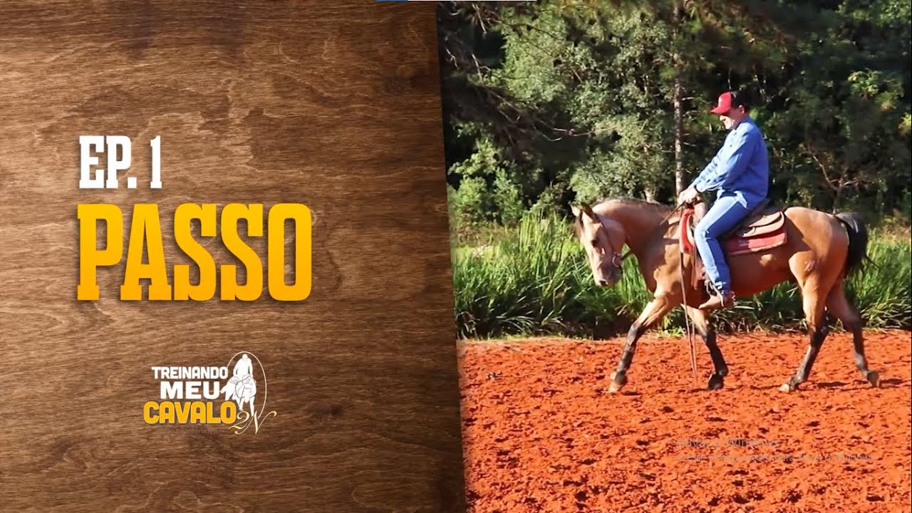 ANDAMENTOS DO CAVALO: PASSO