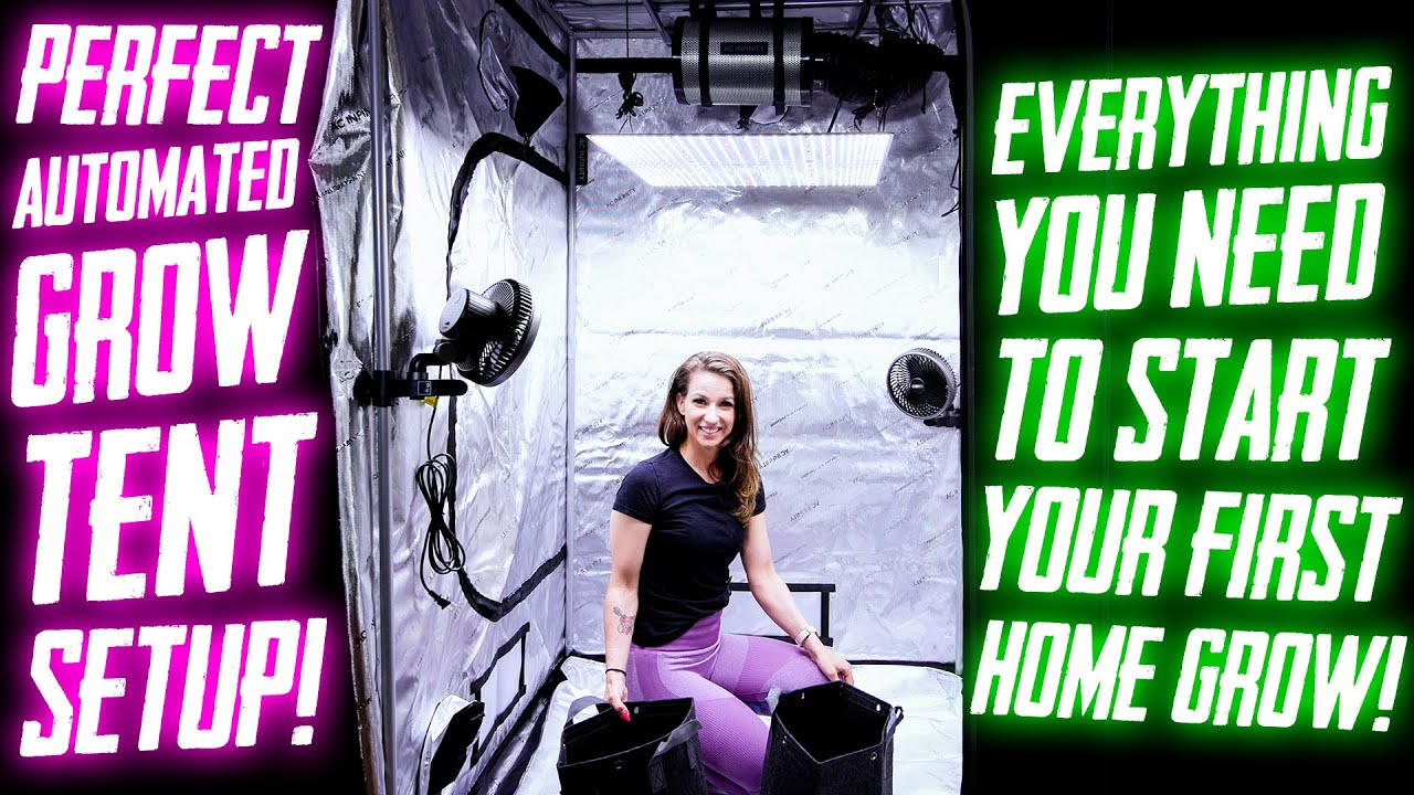 Perfect Beginner Grow Tent Setup! Everything You Need! Automated Environment!