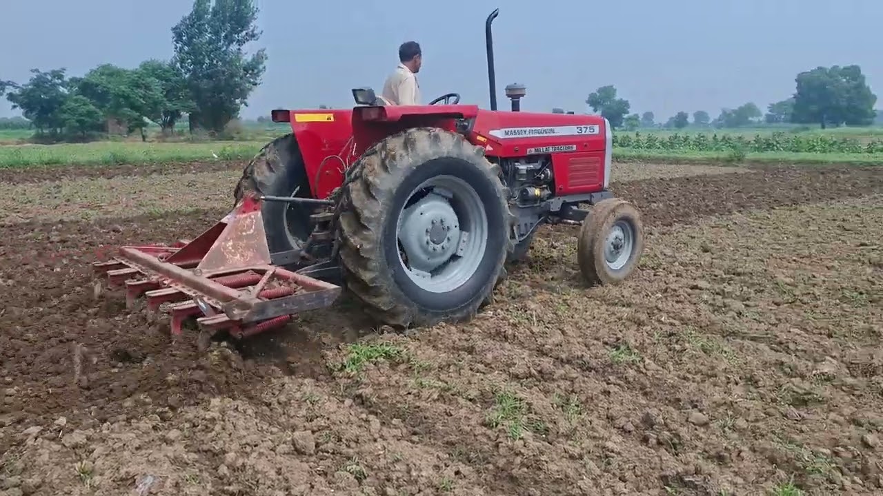 Ghuman zari farm #masseyferguson #agricultural #farming ##foryou #trending #tiktokviral #pakistan