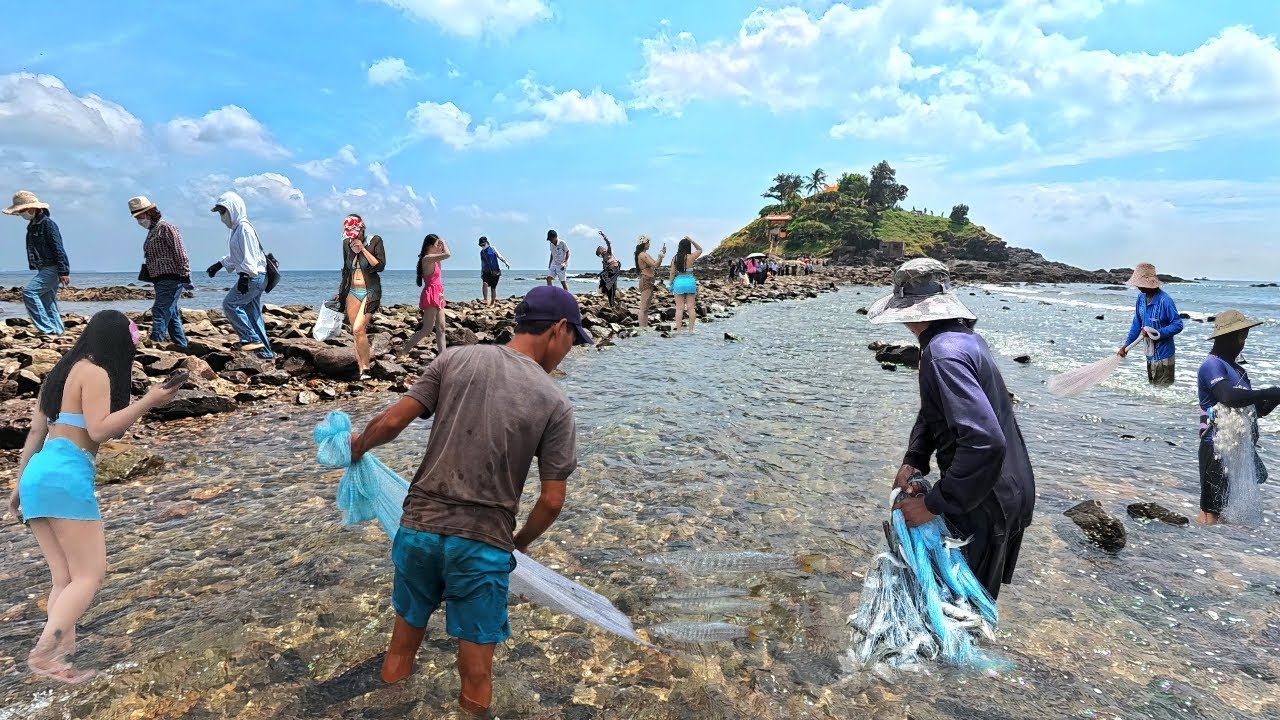 Cảnh Tượng Khó Tin Lại Xuất Hiện Tại Đảo Hòn Bà Vũng Tàu - Các Chú Chài Cá May Trúng Mánh