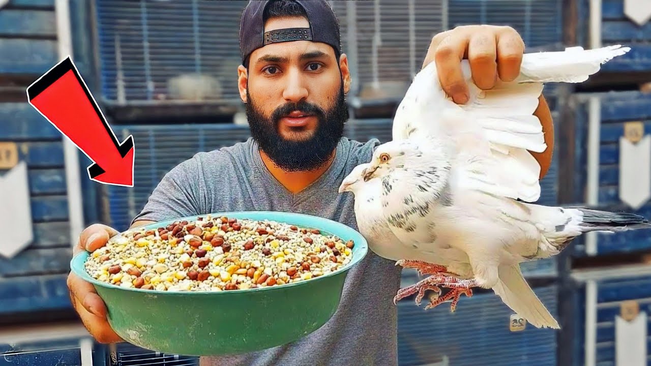 كلفة الحمام بالاعشاب | هتوفر كتييير 👌