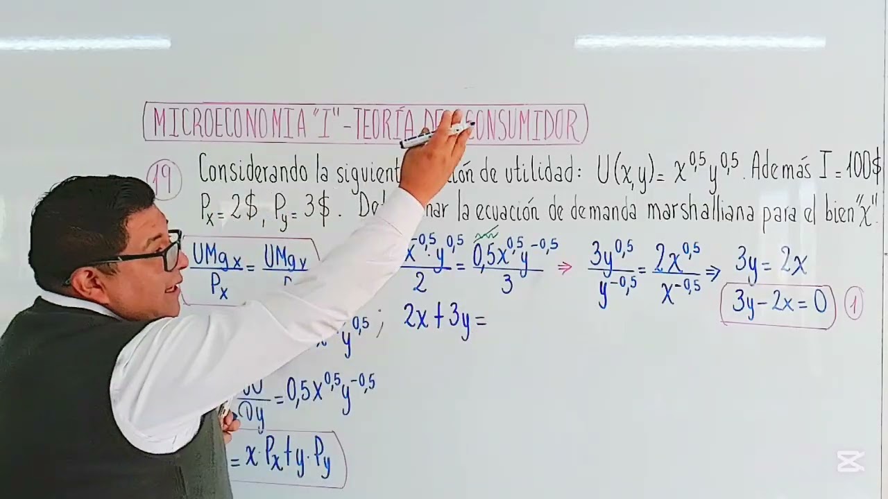 MICROECONOMÍA 'TEORÍA DEL CONSUMIDOR / Ecuación de Demanda Marshalliana' EJERCICIO 19