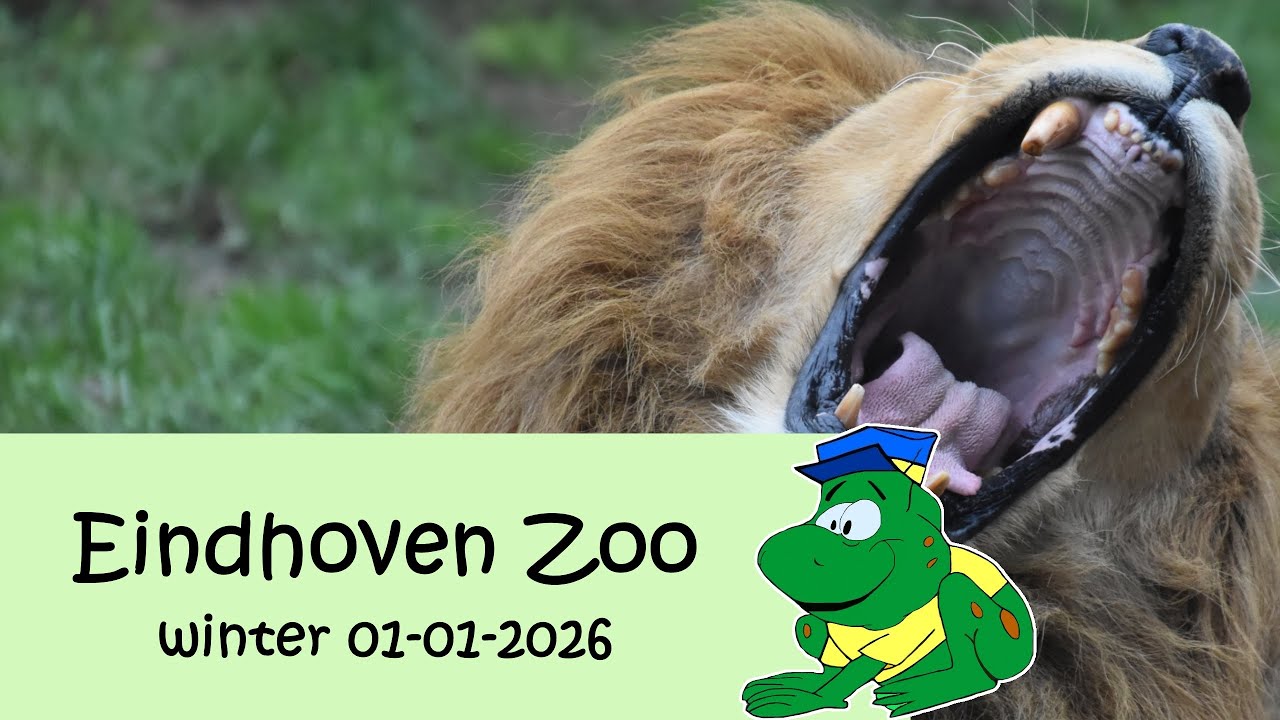Eindhoven Zoo, winter 2026, 01-01-2026