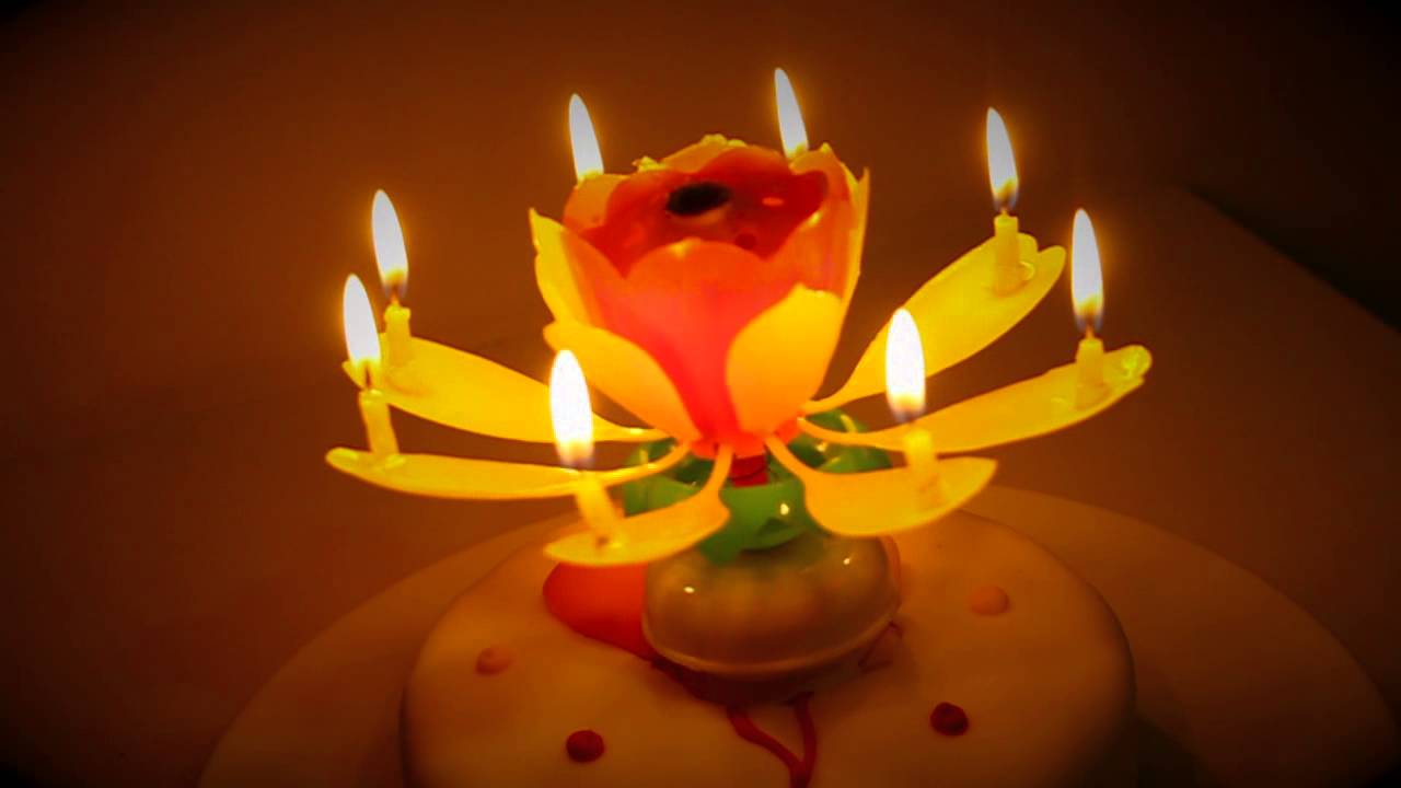 Amazing Cake Central Singing Showstopper -Talking Tables