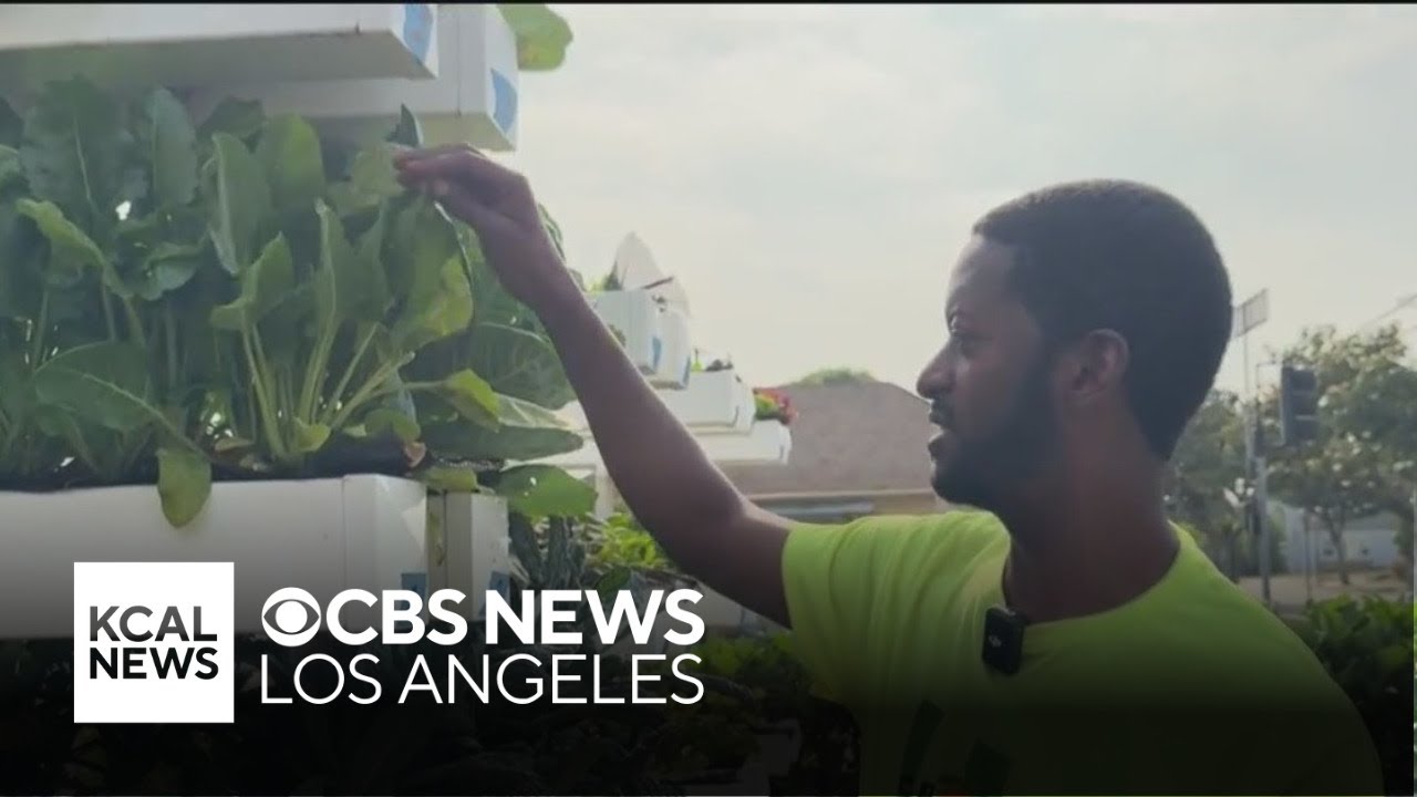 Transforming front yards to feed dozens of families