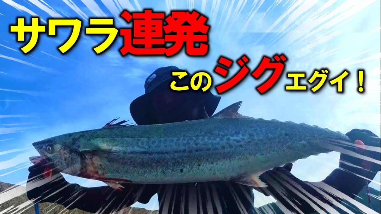 堤防でこのジグ投げたらサワラが釣れすぎた【ライトショアジギング】