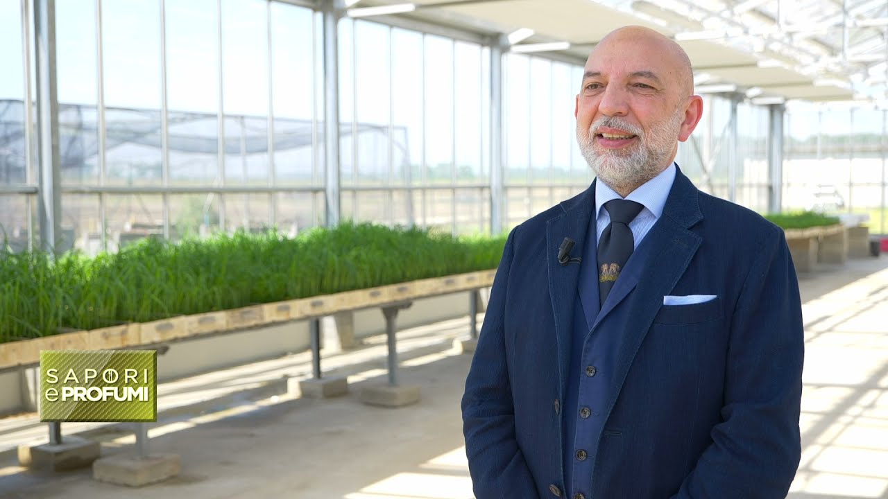 Ente Nazionale Risi, il nostro lavoro, la nostra identità.