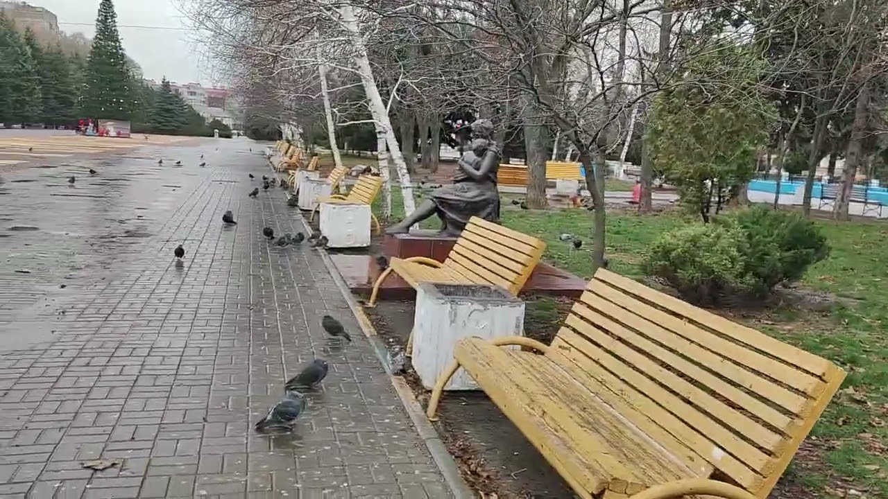 Голуби на площади. (1 часть)